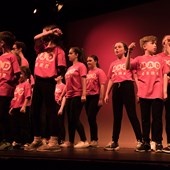 Verblijf in een gezin & Summer Camp – Music, Acting & Dance – Engels – Ierland