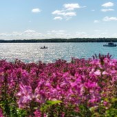 Schoolprogramma - Engels - Canada - Ontario - Simcoe Lake