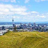 Taalreis - Engels - Nieuw-Zeeland - Auckland