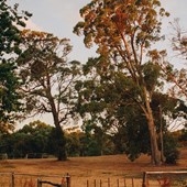 Programme scolaire - Anglais - Australie - Victoria