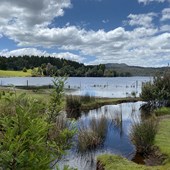 Schoolprogramma - Engels - Australië - Tasmania