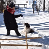 Ester au Canada