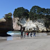 Programme scolaire - anglais - Nouvelle-Zélande - Mercury Bay Area School