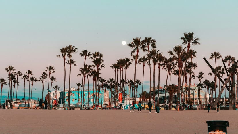 Plage avec palmiers au coucher du soleil à Santa Monica pendant des cours de langue aux États-Unis.